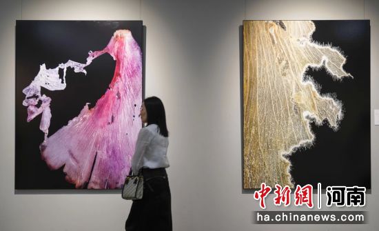 圖為(wèi)觀衆在參觀王昆峰《國(guó)色·九歌》影像藝術展作(zuò)品。馬健 攝